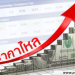 ราคาบอลไหล คืออะไร | วิธีดูราคาบอลไหลและเทคนิคอ่านเกมก่อนเดิมพัน