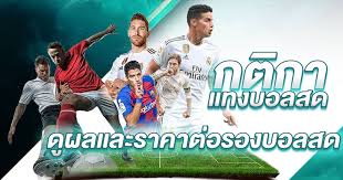 กติกาการแทงบอล สำหรับมือใหม่ปี 2025